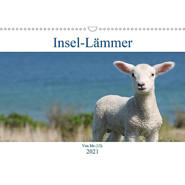 Insel-Lämmer (Wandkalender 2021 DIN A3 quer), Ida Kaminski
