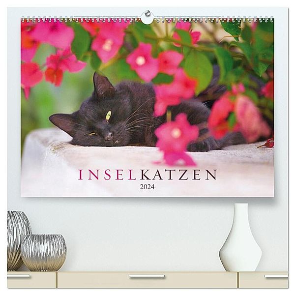 Inselkatzen (hochwertiger Premium Wandkalender 2024 DIN A2 quer), Kunstdruck in Hochglanz, Christina Krutz