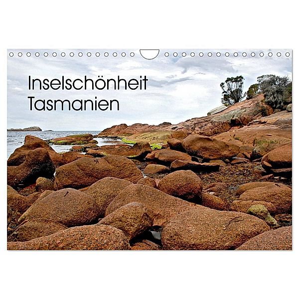 Inselschönheit Tasmanien (Wandkalender 2024 DIN A4 quer), CALVENDO Monatskalender, Silvia Drafz