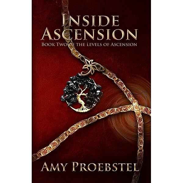 Inside Ascension, Amy Proebstel