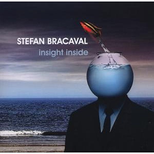 Insight Inside, Stefan Bracaval