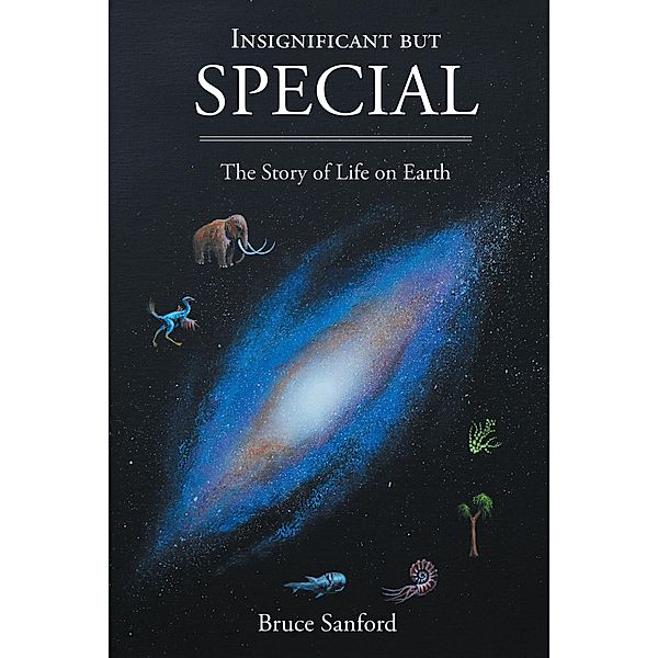 Insignificant but Special, Bruce Sanford
