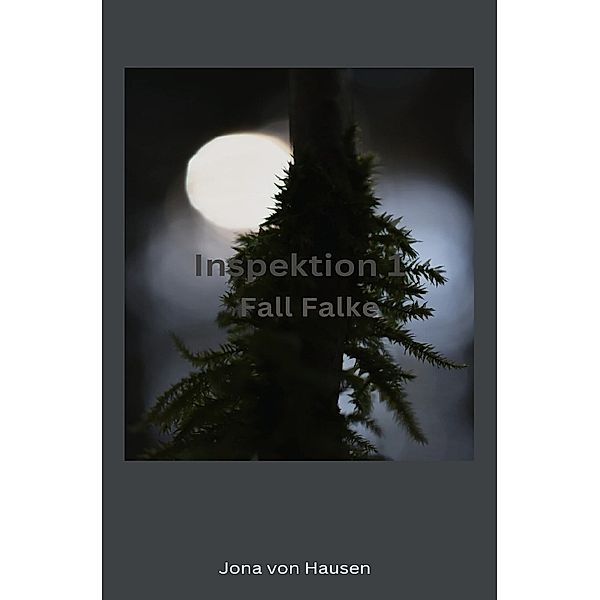 Inspektion 1 - Fall Falke, Jona von Hausen