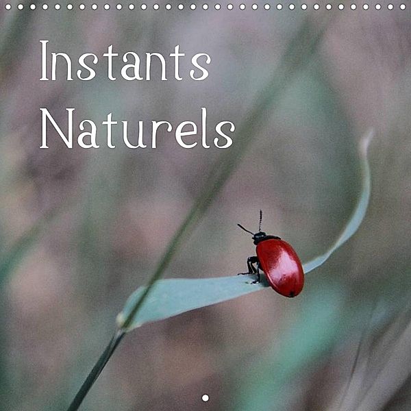 Instants Naturels (Calendrier mural 2022 300 × 300 mm Square), Stefanie Degner / Visuelle Akzente Fotografie