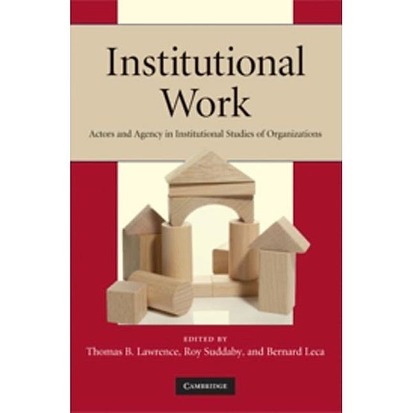 Institutional Work