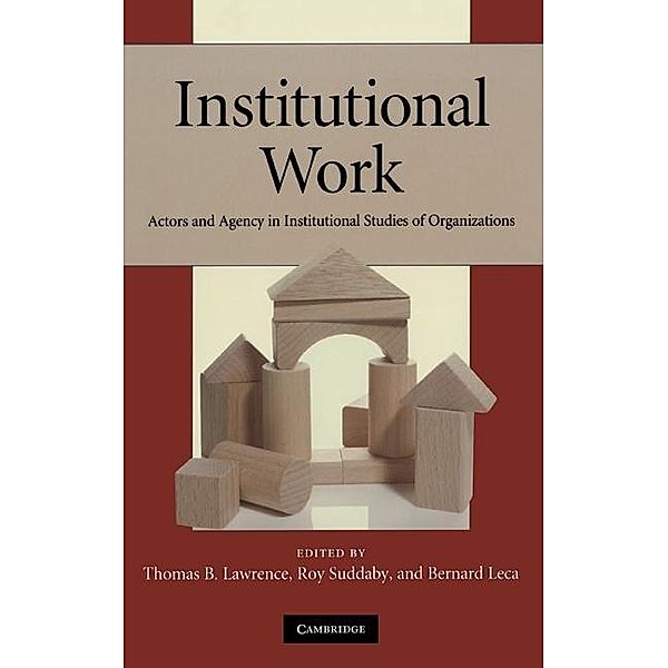 Institutional Work