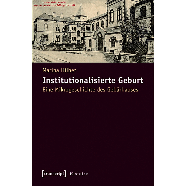 Institutionalisierte Geburt / Histoire Bd.33, Marina Hilber