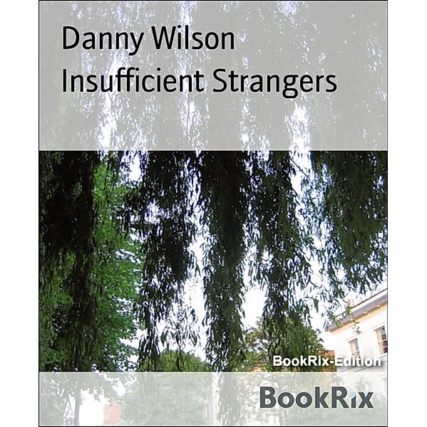 Insufficient Strangers, Danny Wilson