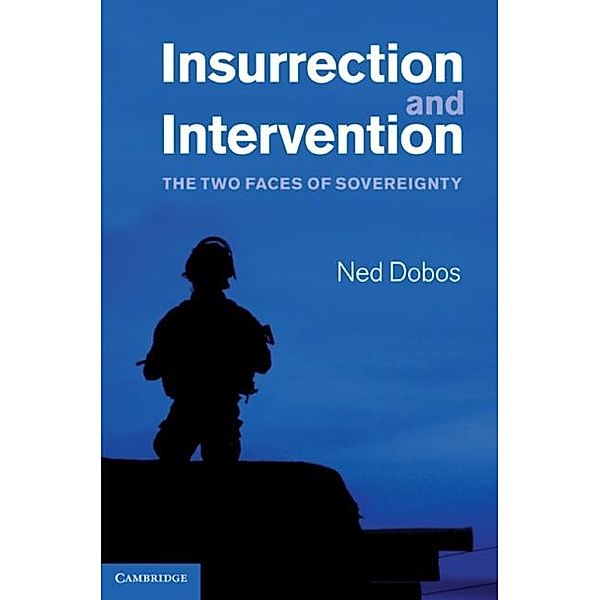 Insurrection and Intervention, Ned Dobos