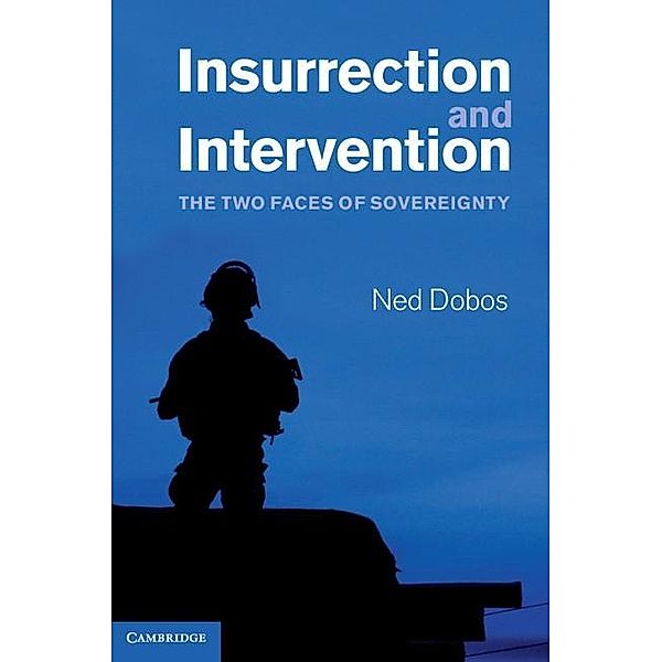 Insurrection and Intervention, Ned Dobos