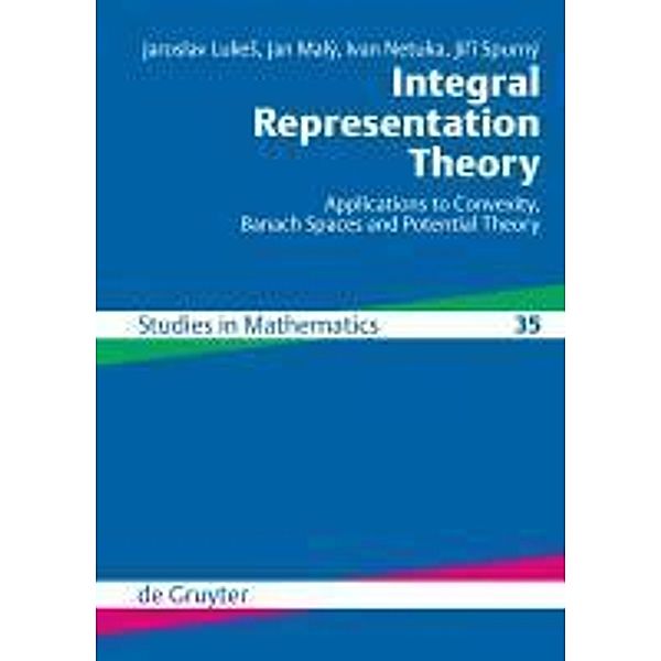 Integral Representation Theory / DaZ kompakt Bd.35, Jaroslav Lukes, Jan Malý, Ivan Netuka, Jirí Spurný