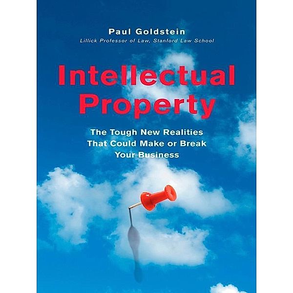 Intellectual Property, Paul Goldstein