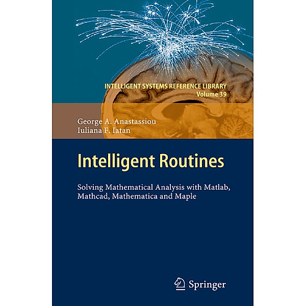 Intelligent Routines, George A. Anastassiou, Iuliana F. Iatan