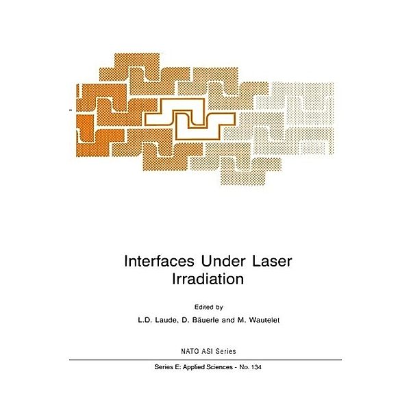 Interfaces Under Laser Irradiation / NATO Science Series E: Bd.134
