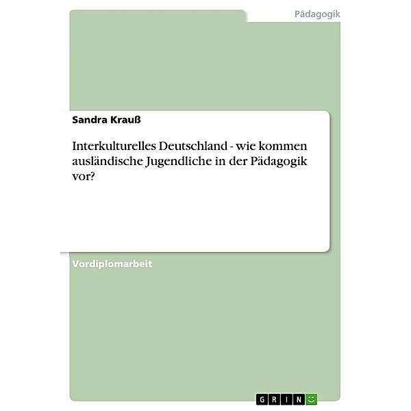 Interkulturelles Deutschland - wie kommen ausländische Jugendliche in der Pädagogik vor?, Sandra Krauß