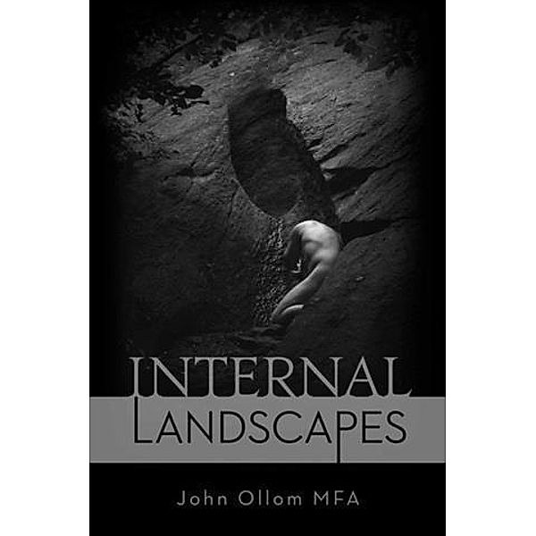 Internal Landscapes, John Ollom MFA