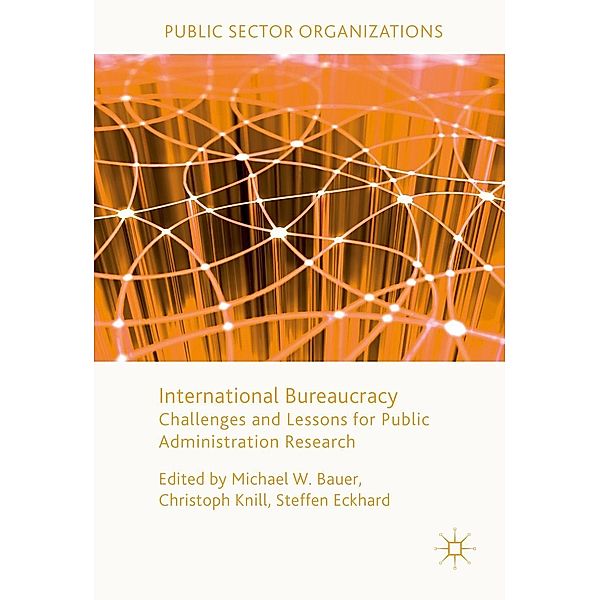 International Bureaucracy / Public Sector Organizations