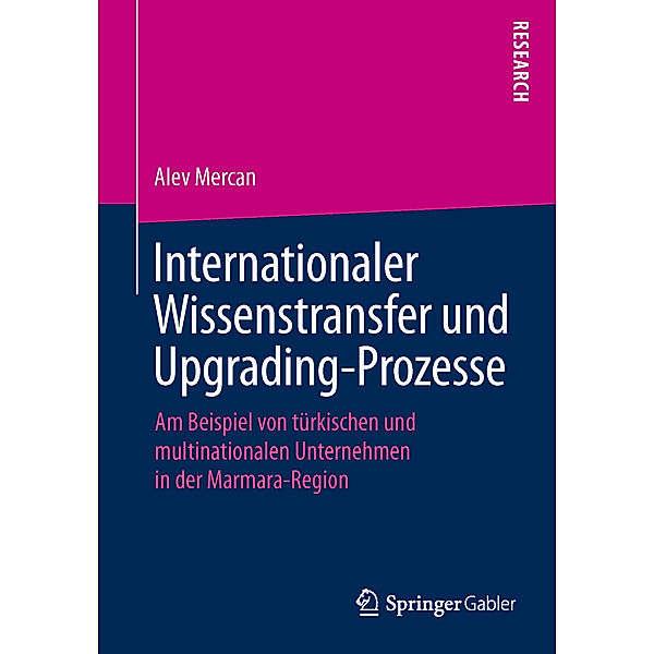 Internationaler Wissenstransfer und Upgrading-Prozesse, Alev Mercan