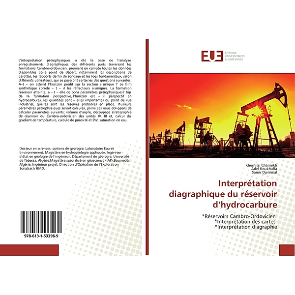 Interprétation diagraphique du réservoir d'hydrocarbure, Khemissi Chamekh, Adel Boukhalfa, Samir Djemmal