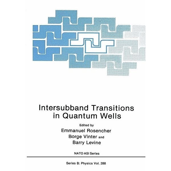 Intersubband Transitions in Quantum Wells / NATO Science Series B: Bd.288