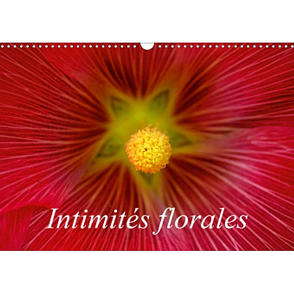 Intimités florales (Calendrier mural 2021 DIN A3 horizontal), Alain Gaymard
