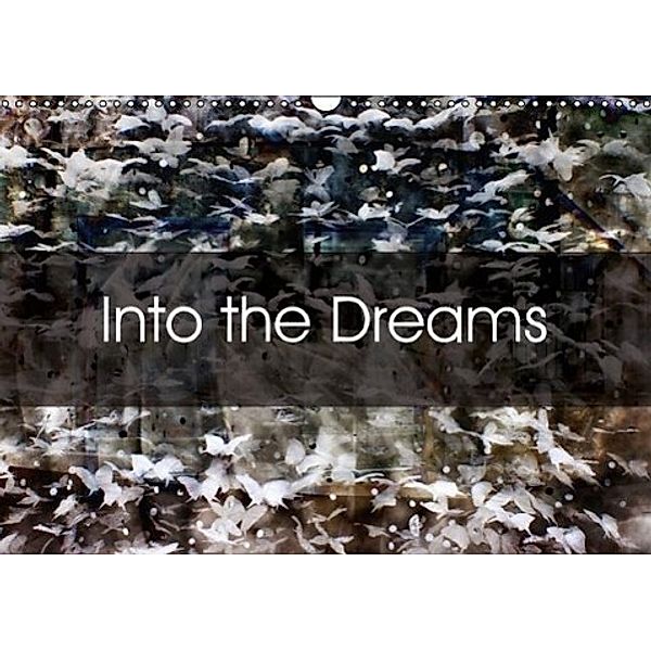 Into the Dreams (Wall Calendar 2016 DIN A3 Landscape), Solange Foix