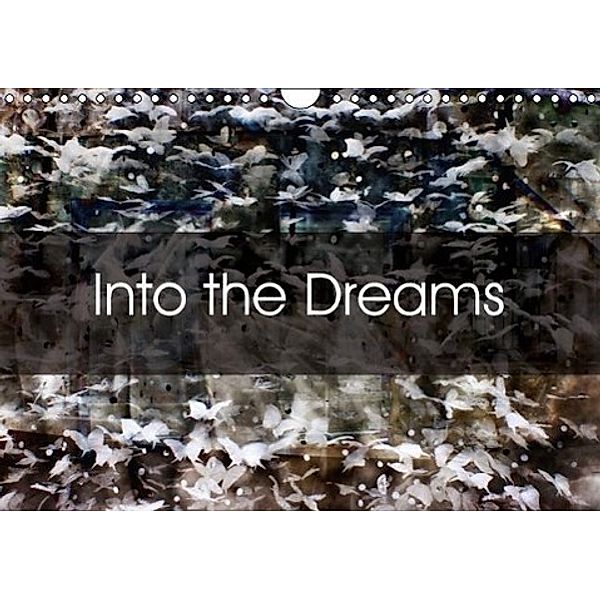 Into the Dreams (Wall Calendar 2016 DIN A4 Landscape), Solange Foix