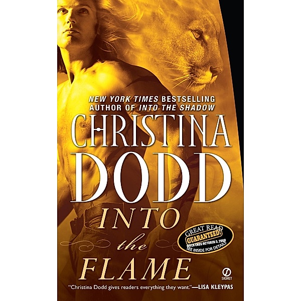Into the Flame / A Darkness Chosen Novel Bd.4, Christina Dodd