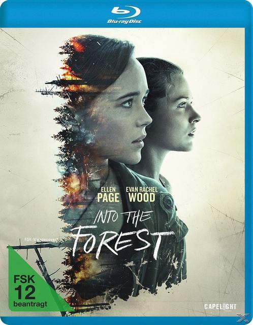 Image of Into the Forest