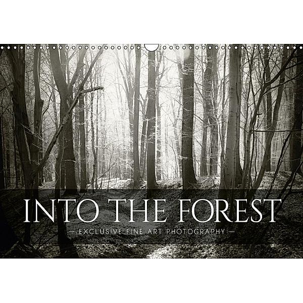 Into the Forest (Wall Calendar 2017 DIN A3 Landscape), Dorit M. Fuhg