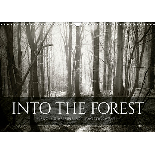 Into the Forest (Wall Calendar 2021 DIN A3 Landscape), Dorit M. Fuhg