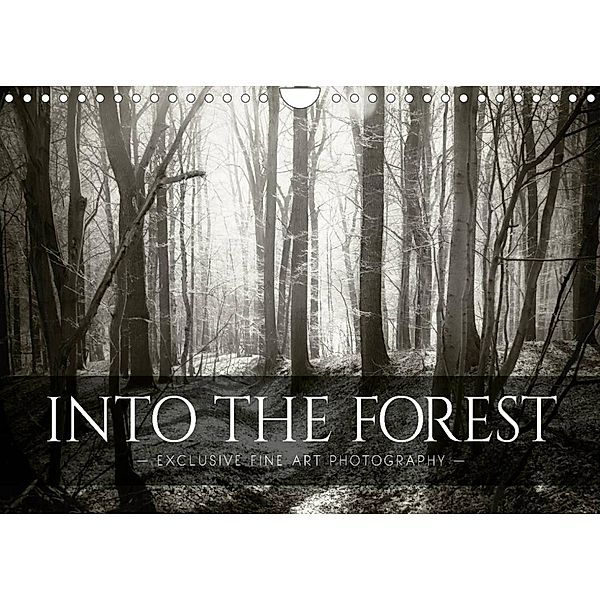 Into the Forest (Wall Calendar 2022 DIN A4 Landscape), Dorit M. Fuhg