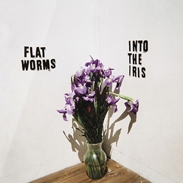 Into The Iris Ep, Flat Worms