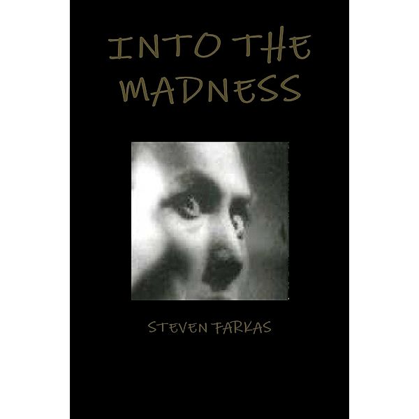 Into the Madness, Steven Farkas