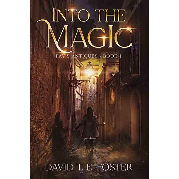 Into The Magic: Fay's Antiques Book 1 / Fay's Antiques, David T. E. Foster