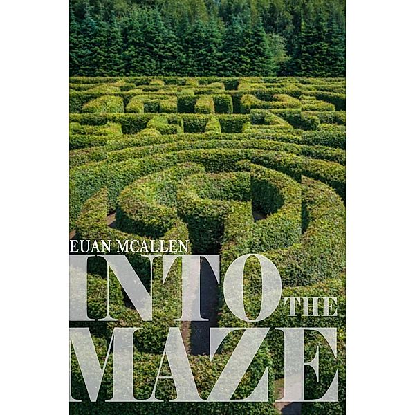 Into The Maze / The Maze Trilogy, Euan McAllen