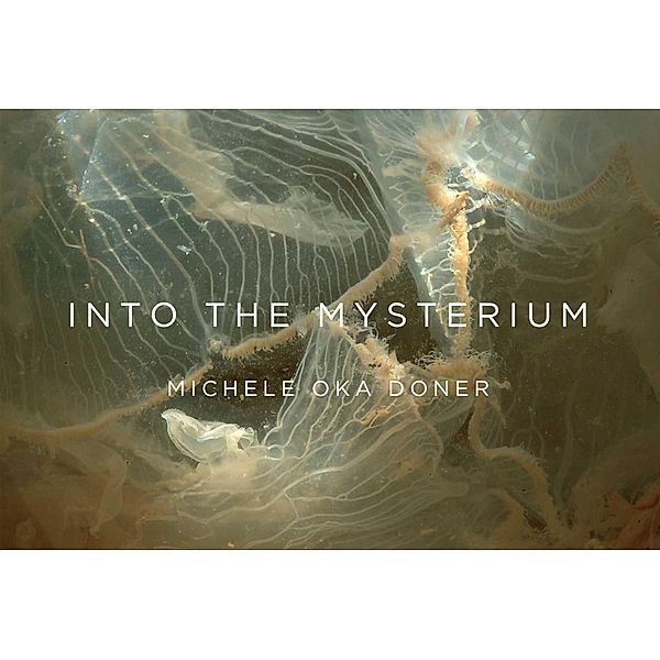 Into the Mysterium, Michele Oka Doner