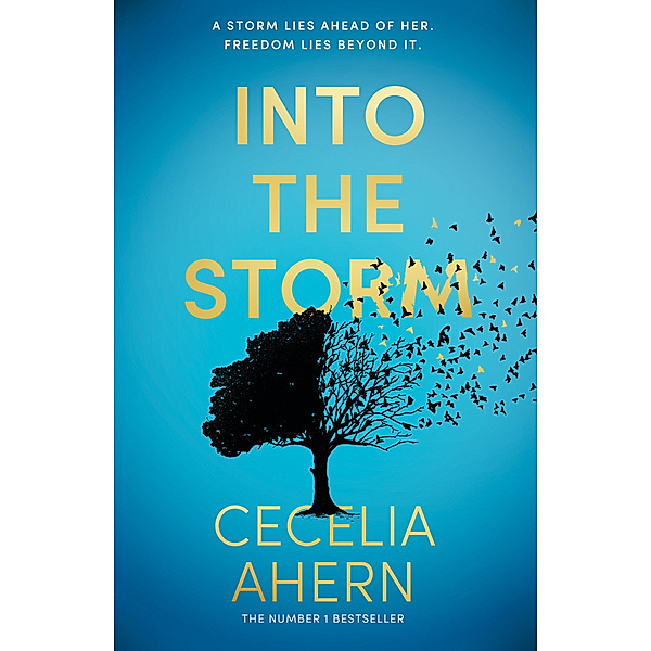 Into the Storm, Cecelia Ahern