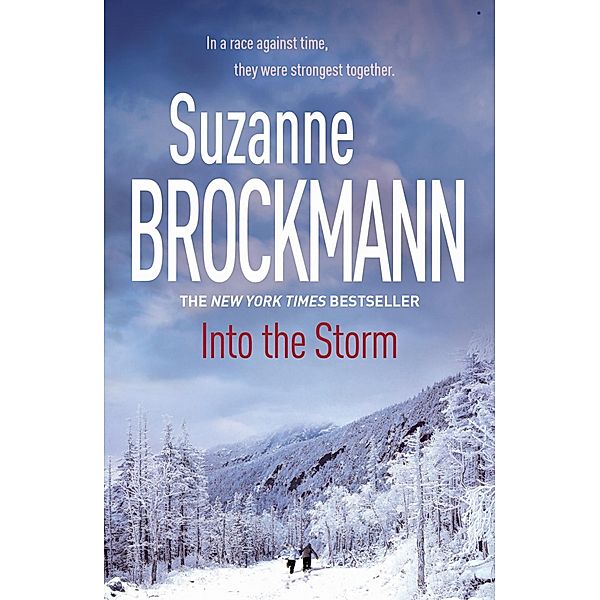 Into the Storm: Troubleshooters 10 / Troubleshooters Bd.10, Suzanne Brockmann