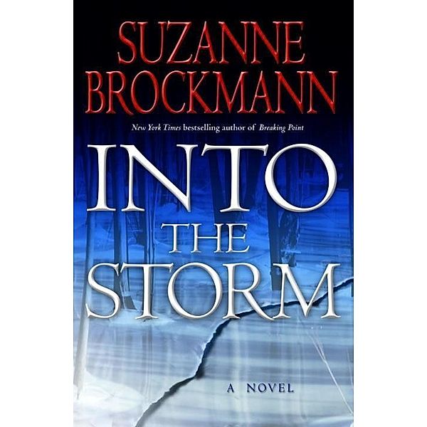 Into the Storm / Troubleshooters Bd.10, Suzanne Brockmann