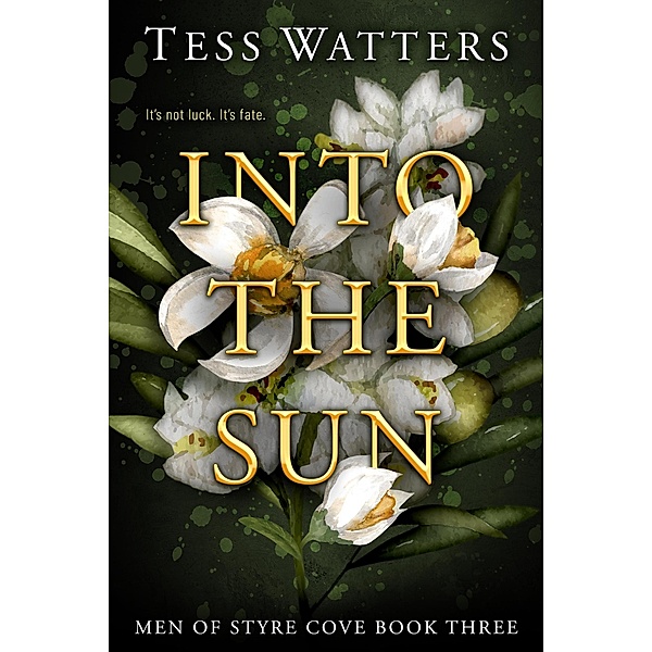 Into the Sun (Men of Styre Cove, #3) / Men of Styre Cove, Tess Watters