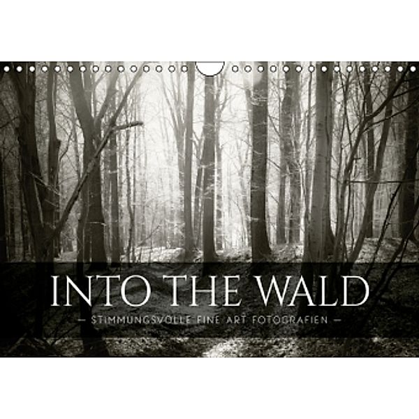 Into the Wald (Wandkalender 2016 DIN A4 quer), Dorit Fuhg