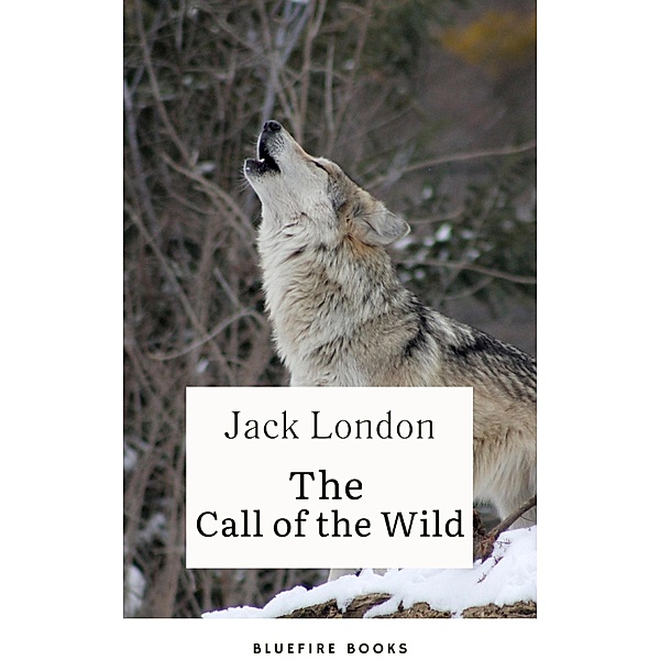 Into the Wild Yonder: Experience the Call of the Wild, Jack London, Bluefire Books