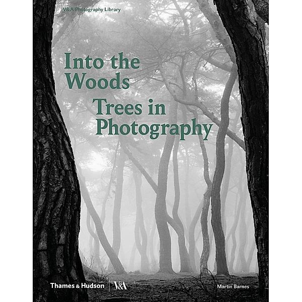 Into the Woods: Trees and Photography, Martin Barnes