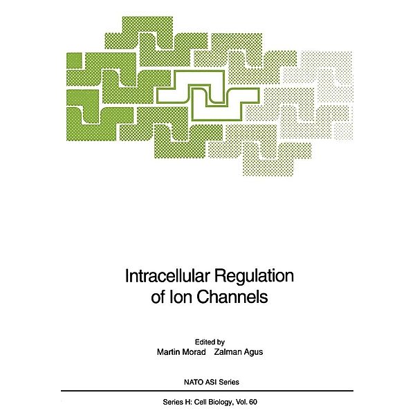 Intracellular Regulation of Ion Channels / Nato ASI Subseries H: Bd.60
