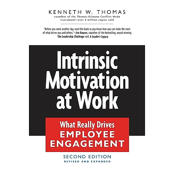 Intrinsic Motivation at Work, Kenneth W. Thomas