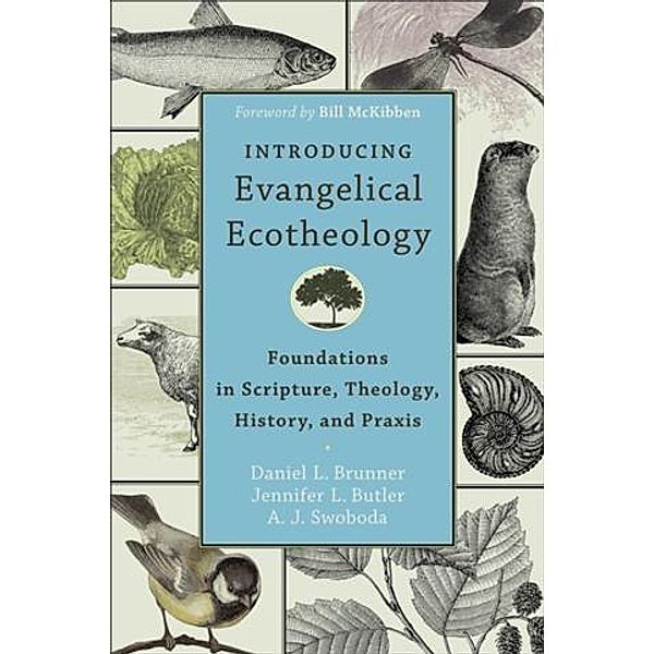 Introducing Evangelical Ecotheology, Daniel L. Brunner