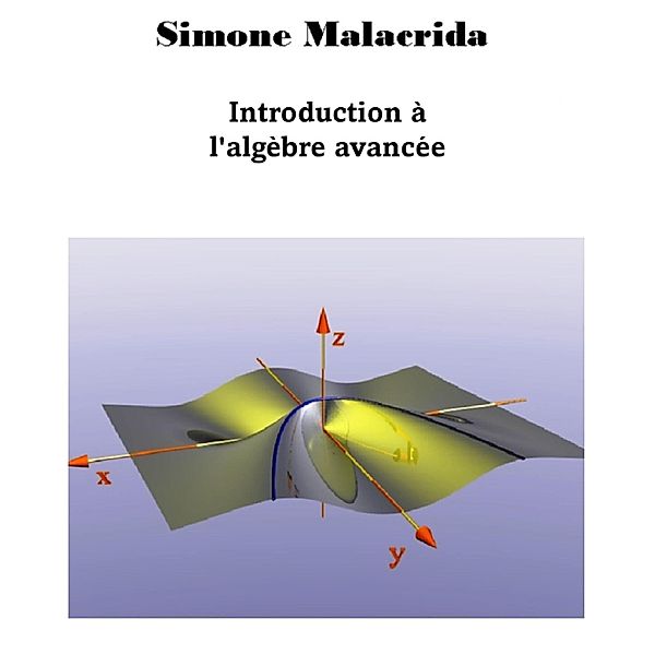 Introduction à l'algèbre avancée, Simone Malacrida