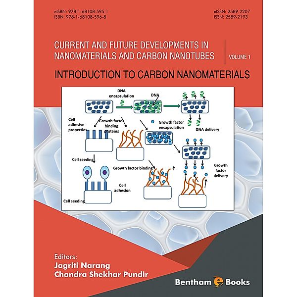 Introduction to Carbon Nanomaterials / Current and Future Developments in Nanomaterials and Carbon Nanotubes Bd.1
