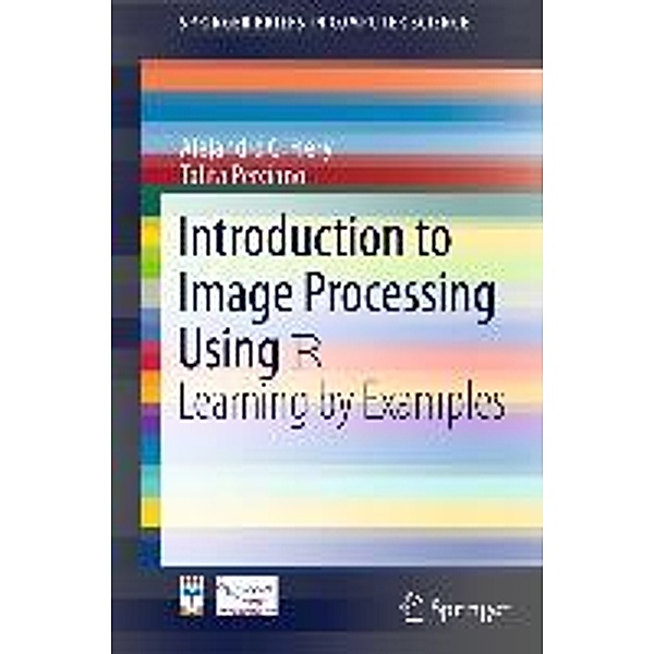 Introduction to Image Processing Using R / SpringerBriefs in Computer Science, Alejandro C. Frery, Talita Perciano